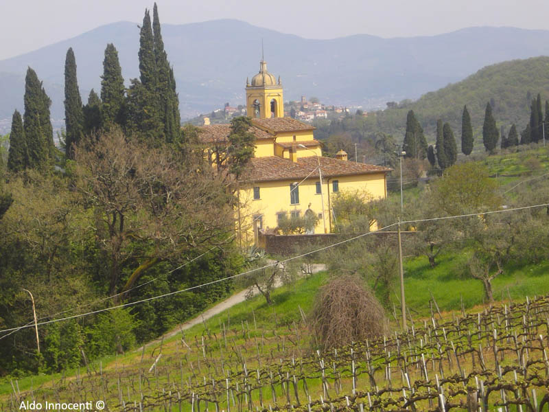 LUCCIANO: CHIESA DI SANTO STEFANO 8